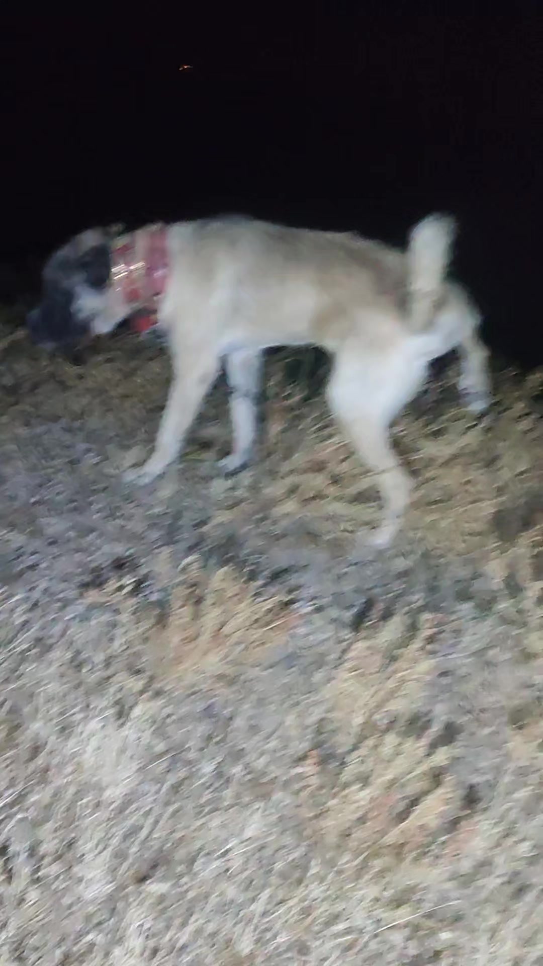 @🇹🇷 Murat Çıtak 🇹🇷