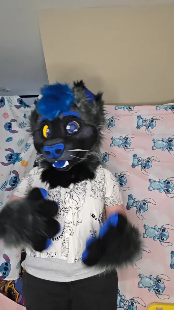 @Nexa Ferret