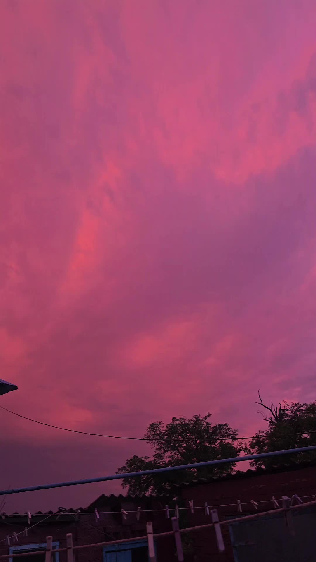 @lelya_shishkina