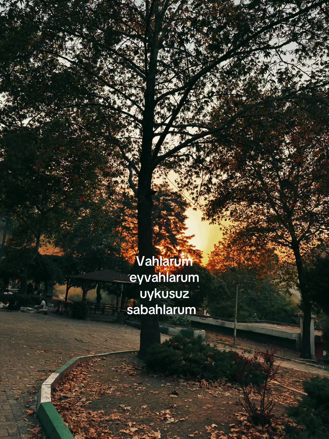 @𝙛𝙖𝙩𝙢𝙖_3