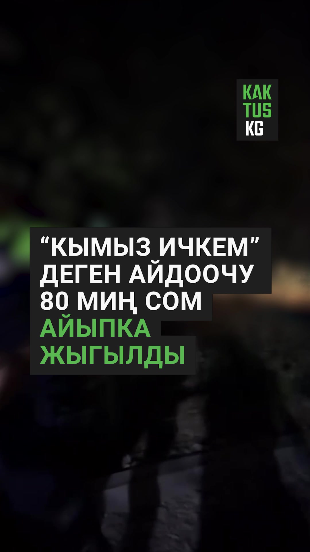 @Kaktus KG