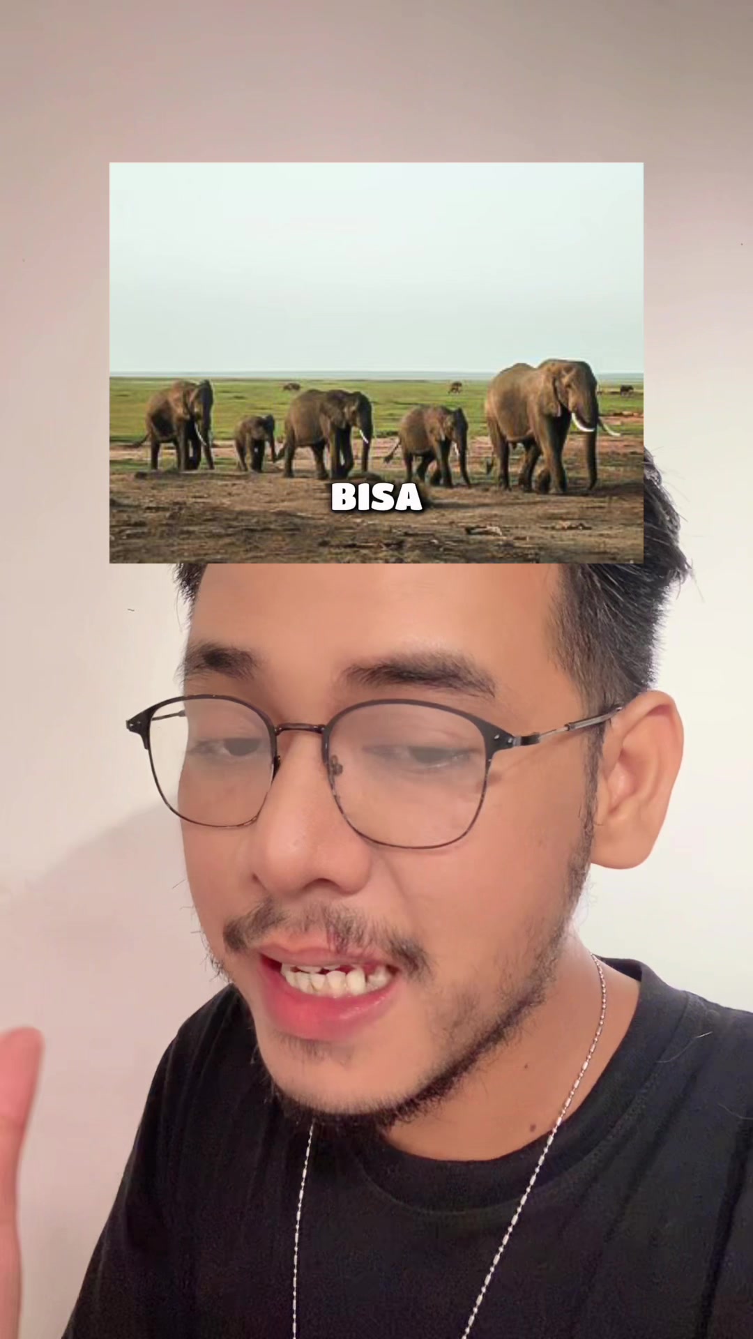 @BangWang