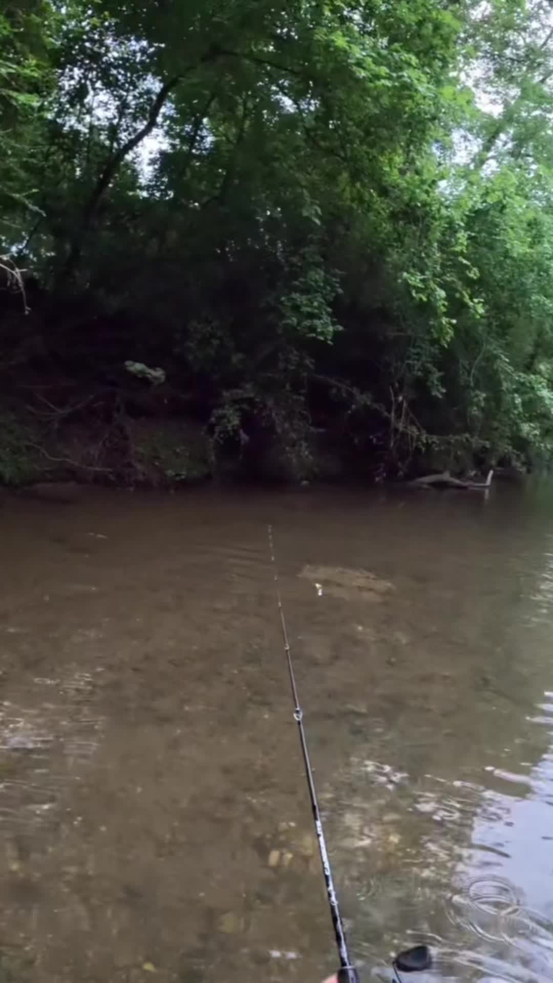 @Creek Seeker Outdoors
