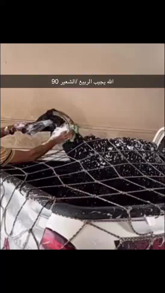 @بـوح المقوعي Ք⁴°⁴