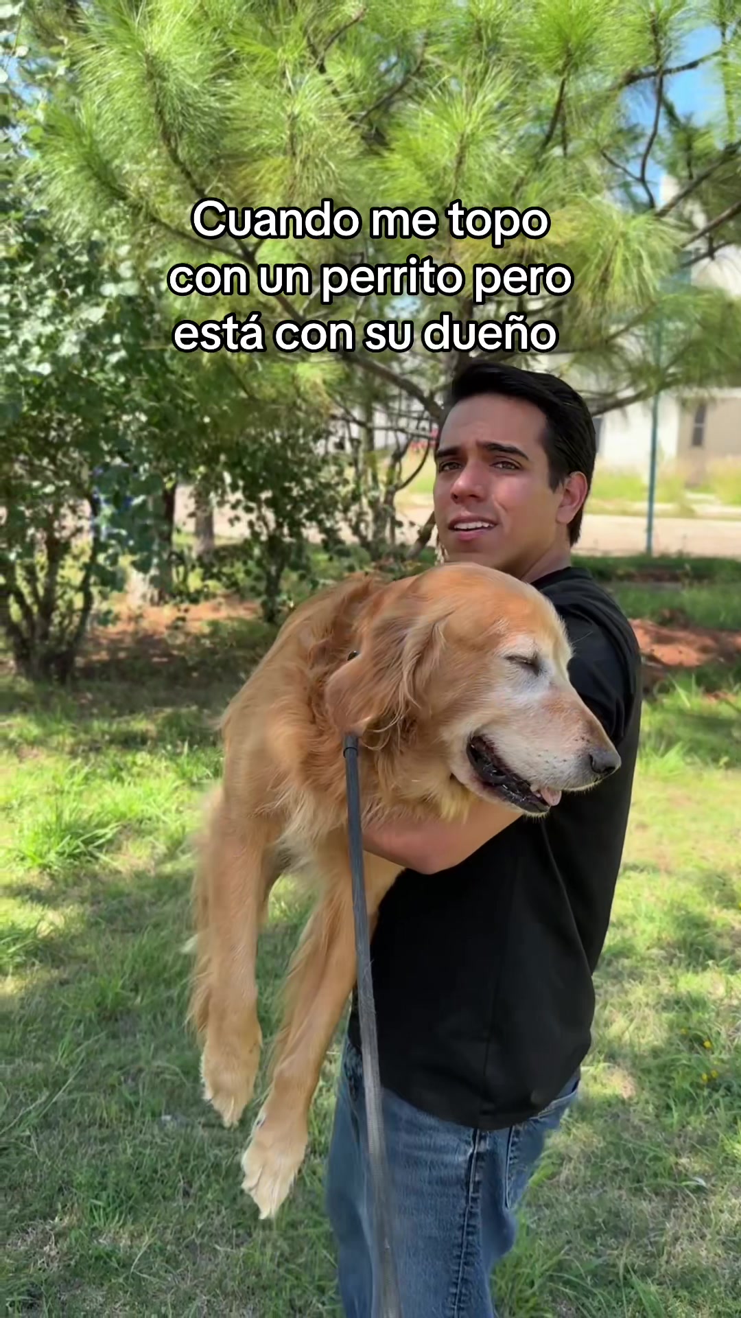 @Chava Frayre