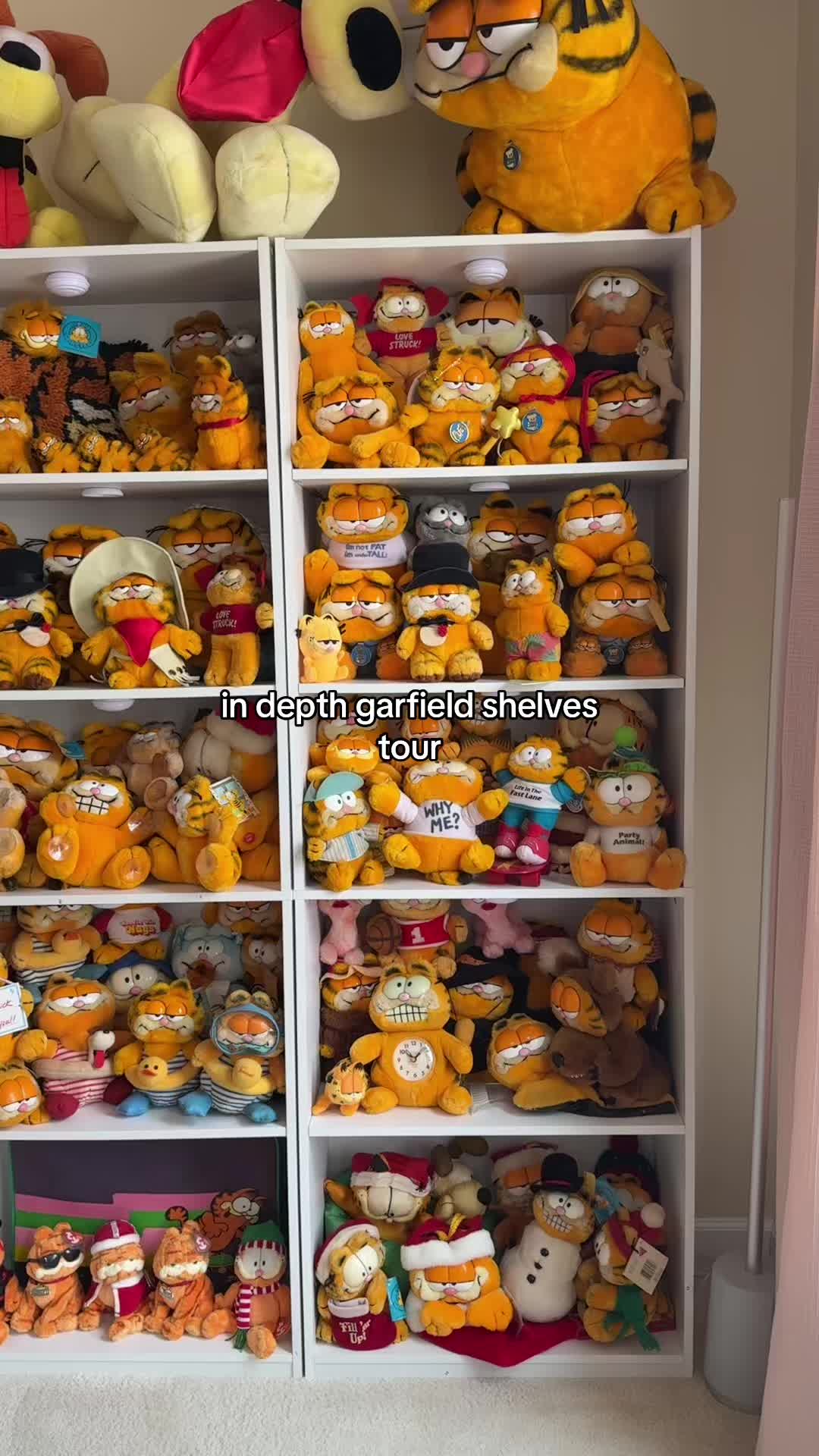 @garf boy