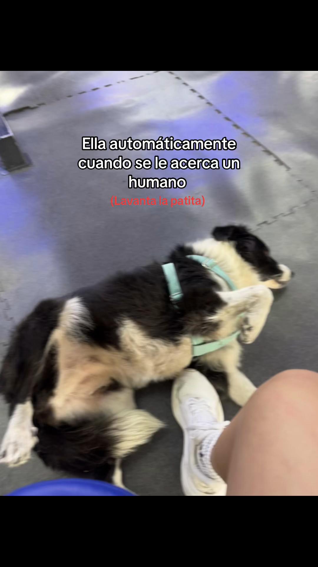 @Belu Arriondo