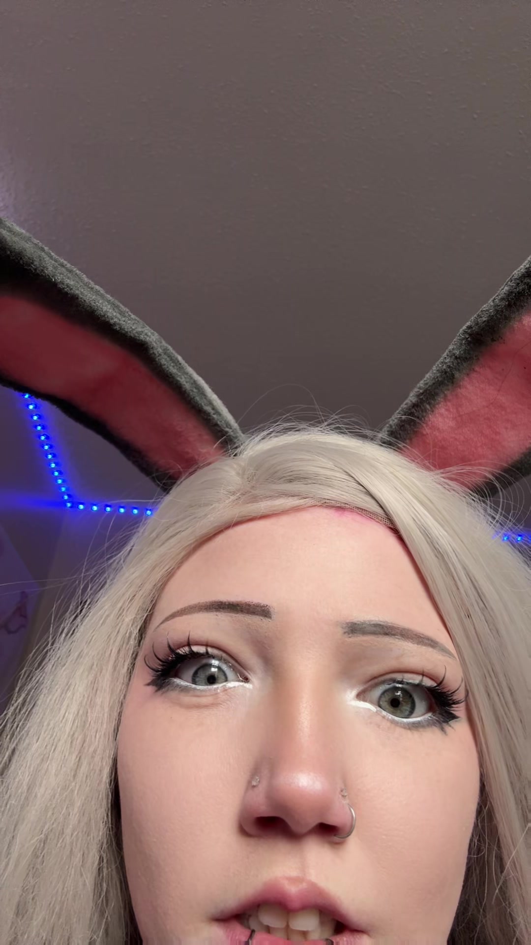 @kitty