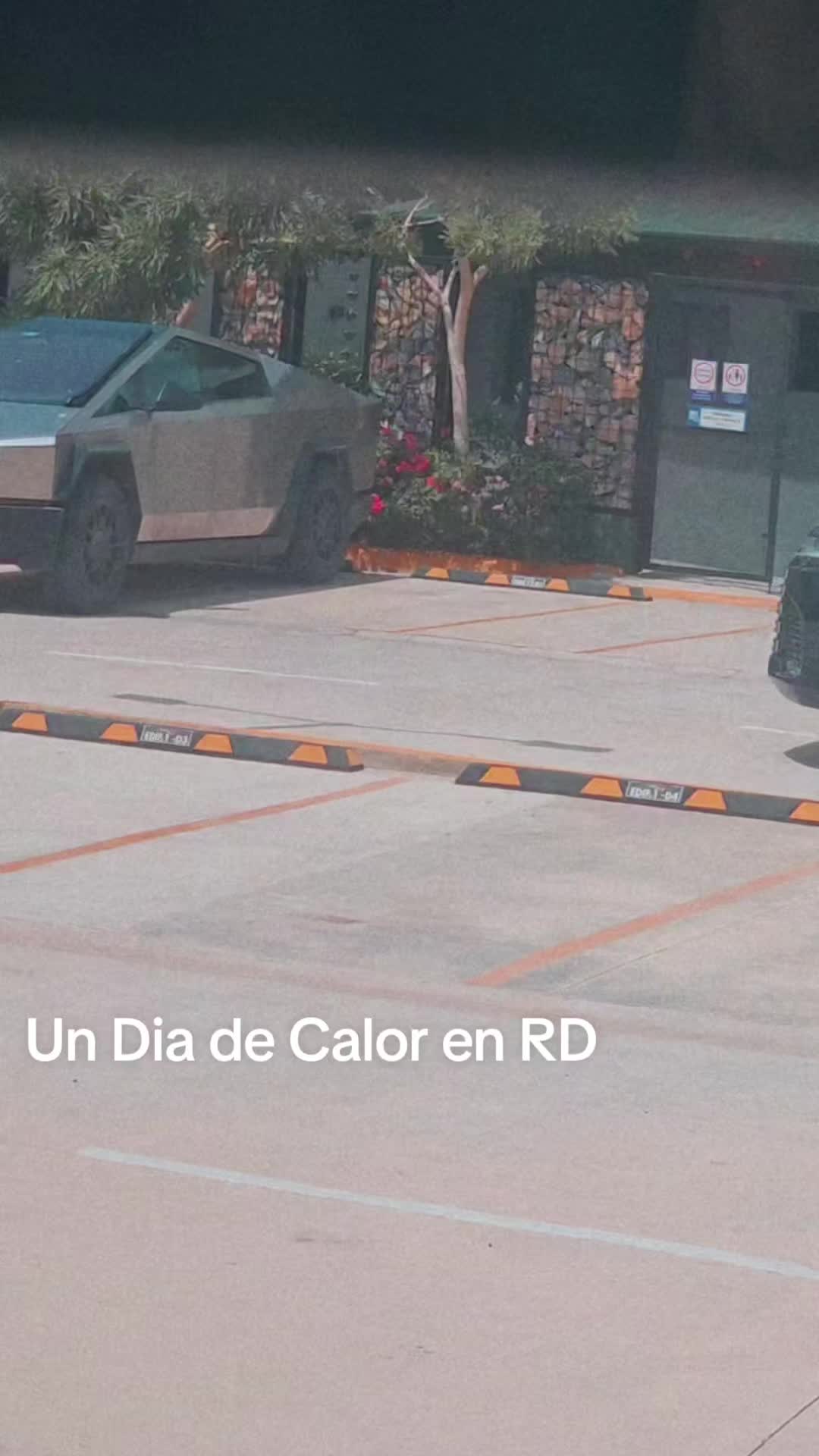 @Delvia Rouz