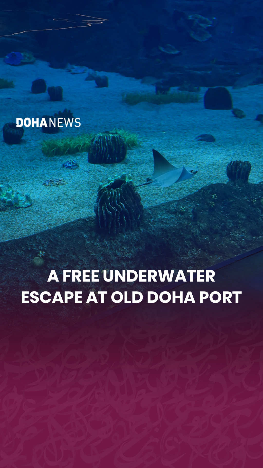 @Doha News