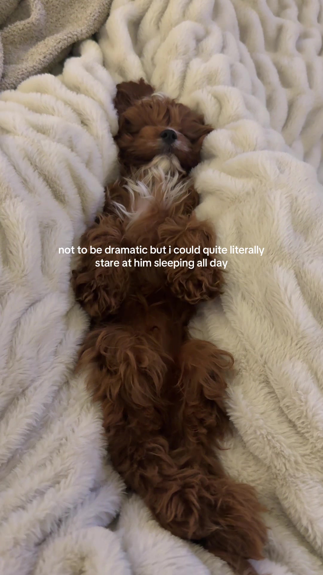 @lennie 🐶