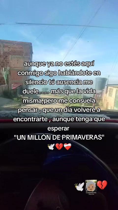 @Tatan Wolf🔥🌹🐺
