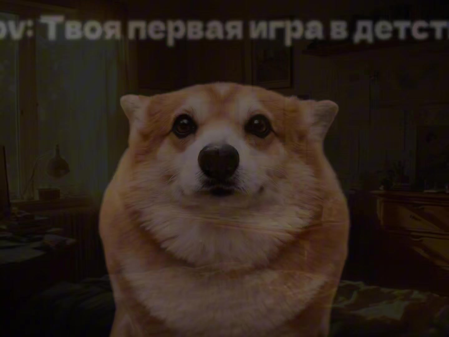 @Липа