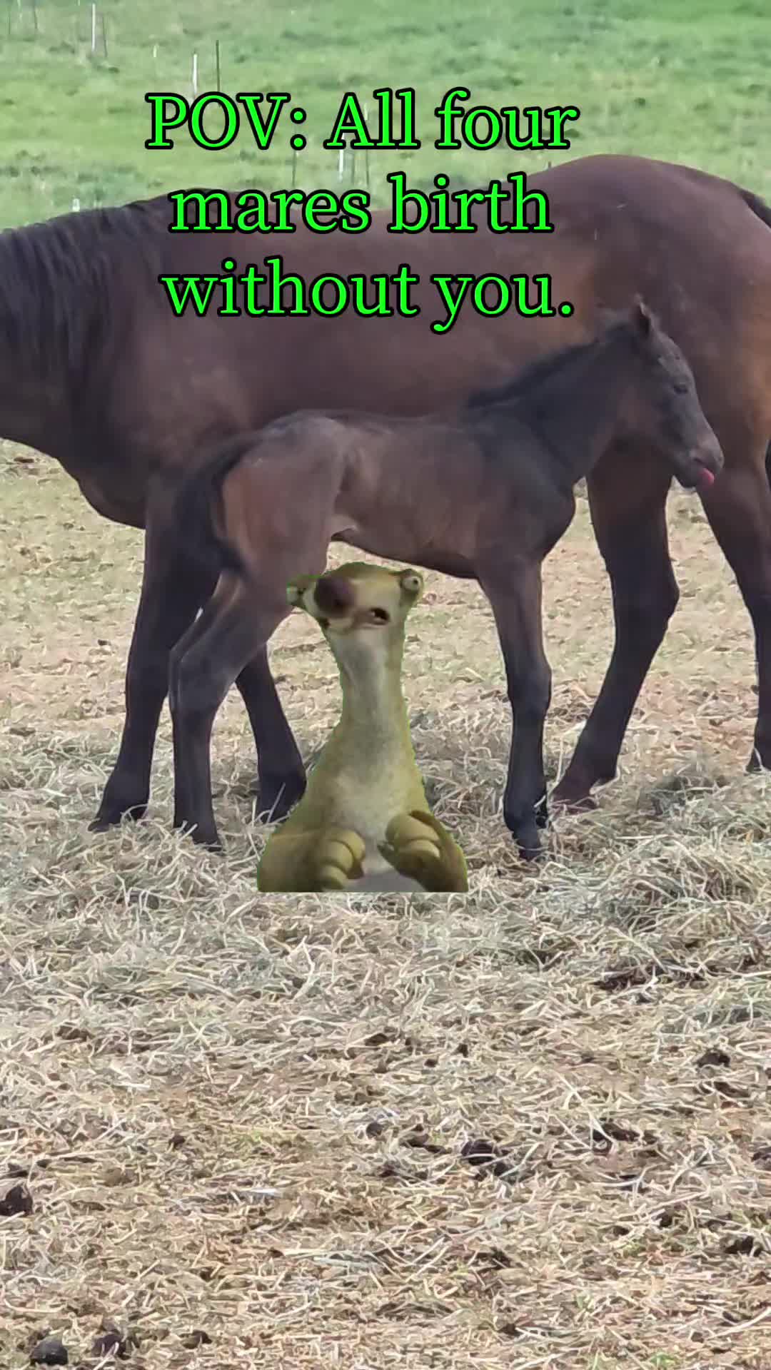 @Brina
