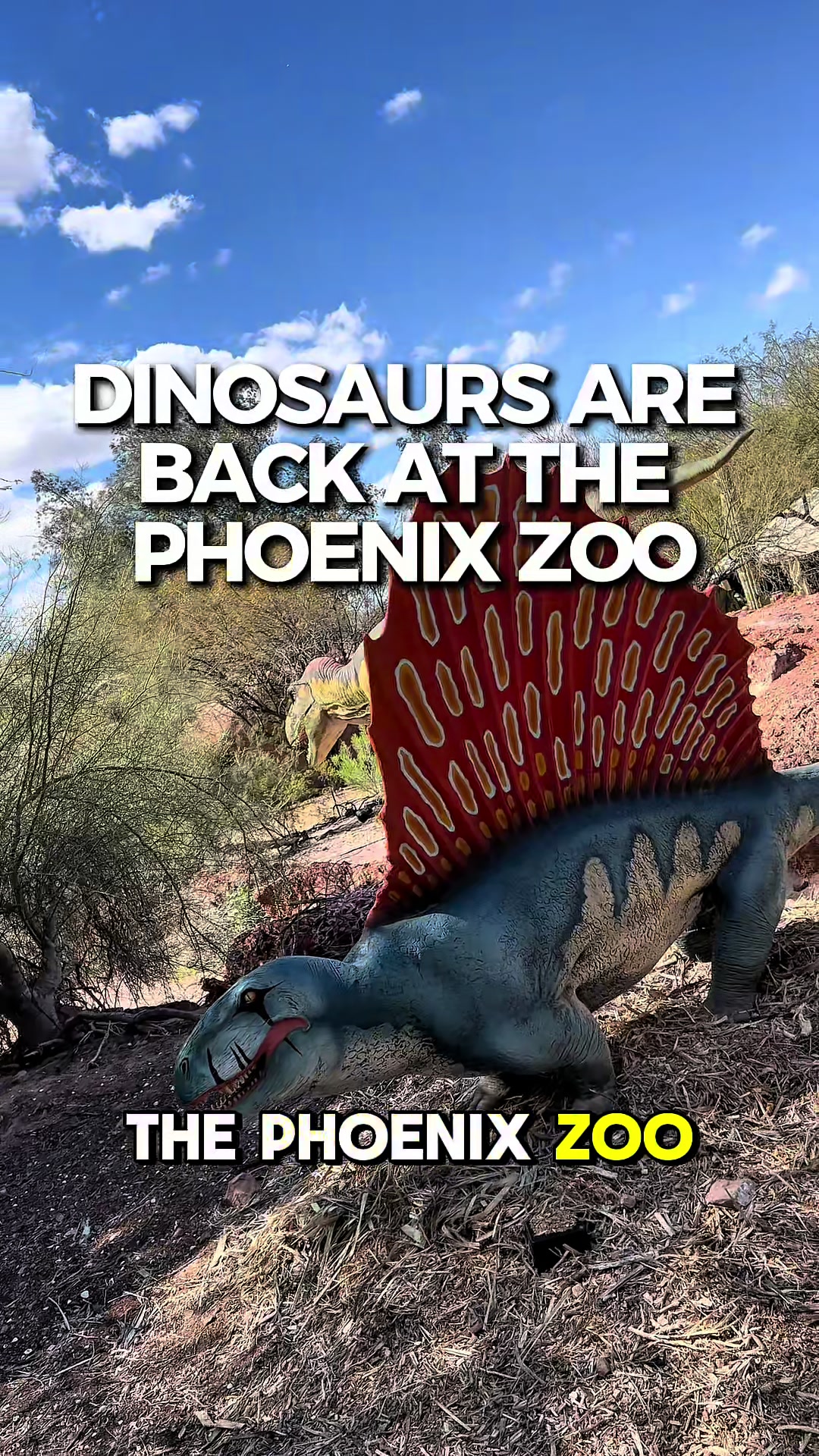 @az_familyadventures