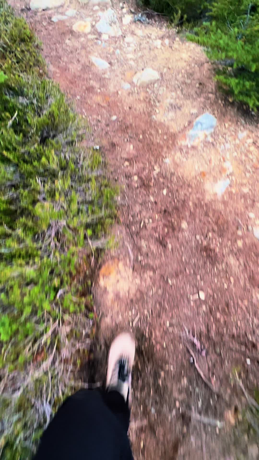 @🌲 James | WA 🏔️