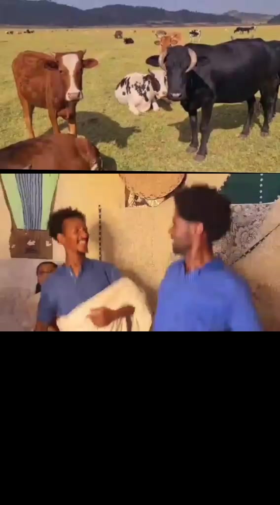 @Mesert Tesema