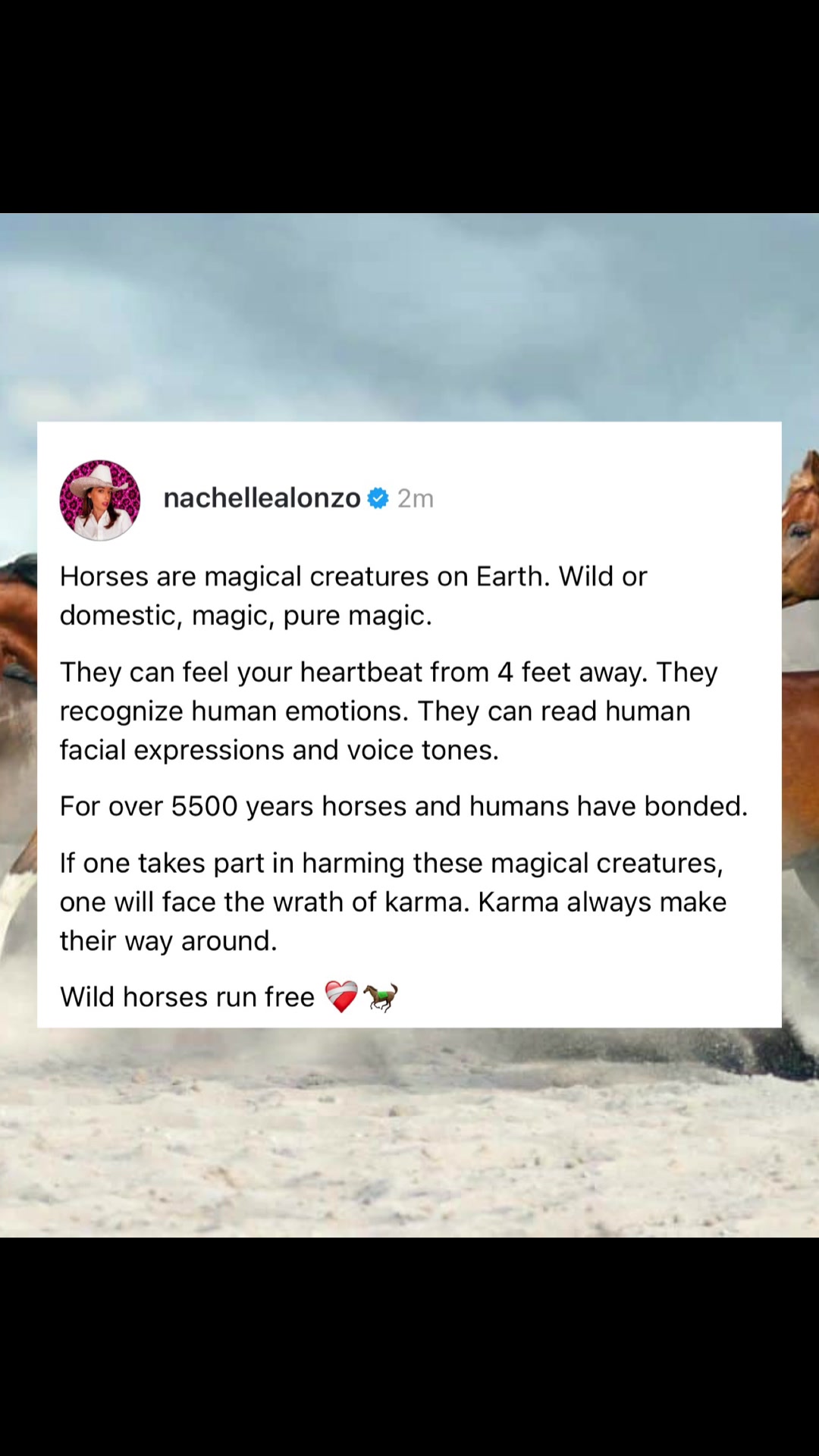 @Nachelle Alonzo