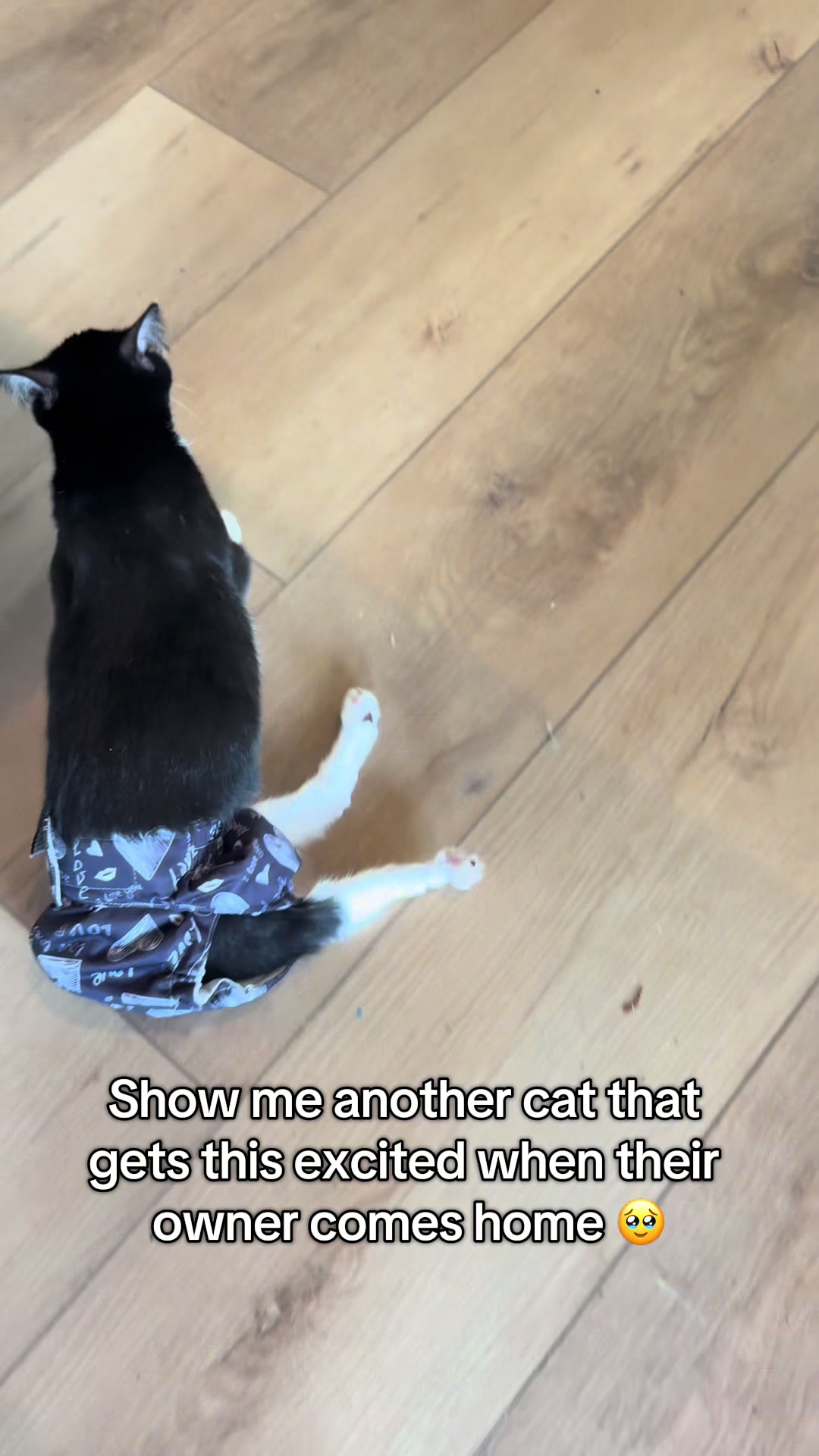 @soccercatmom