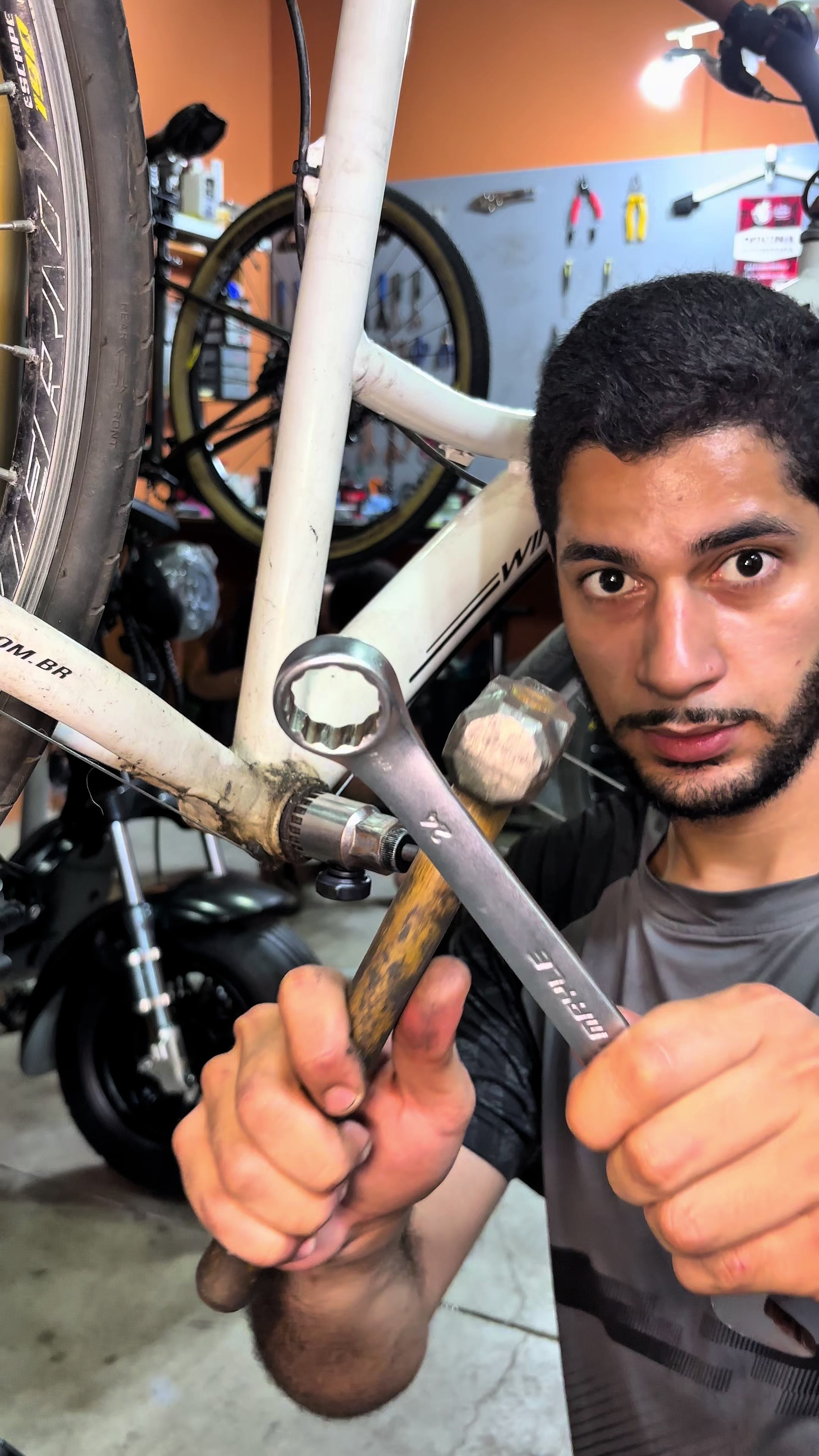 @TerraBike