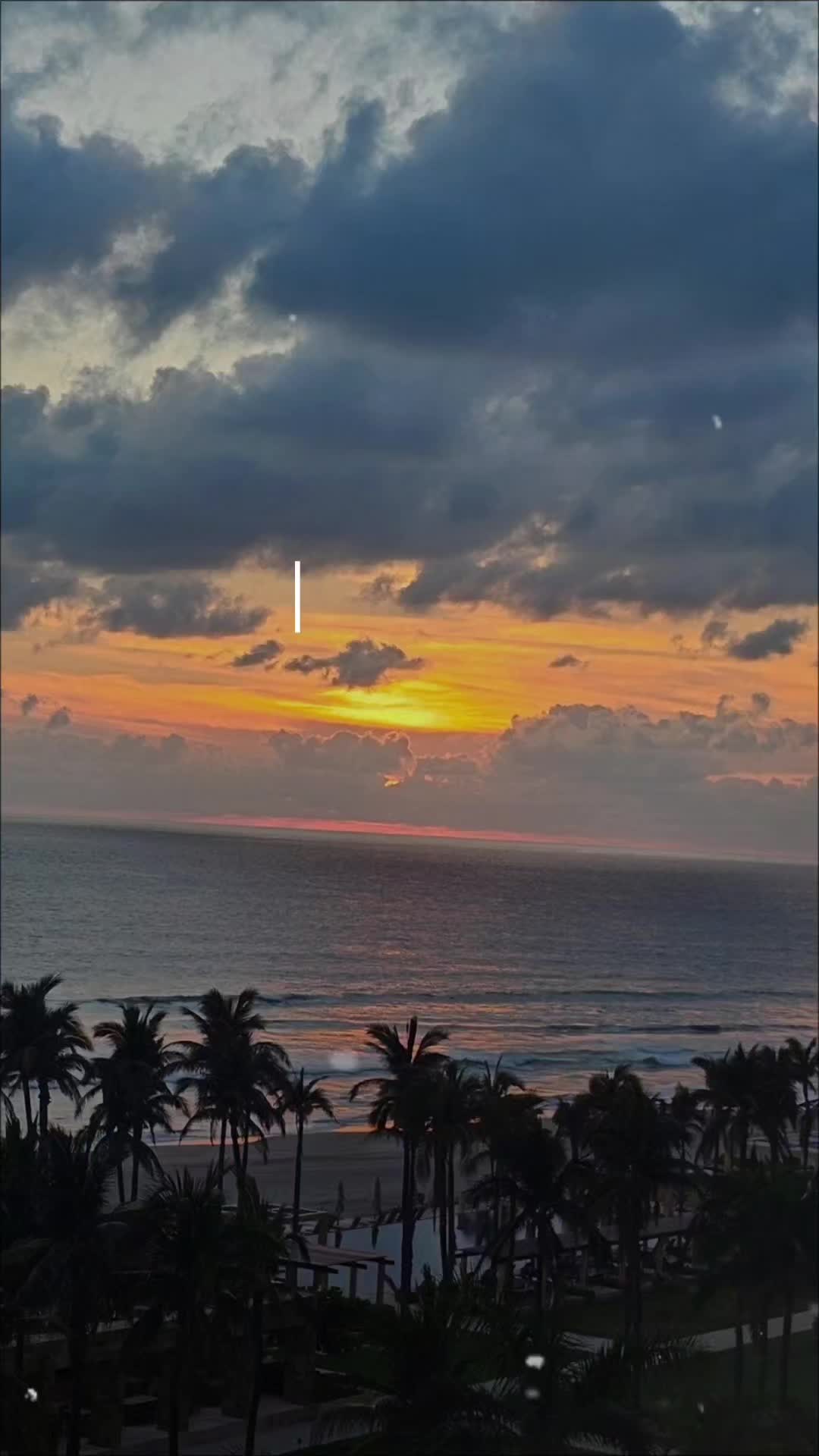 @monicavg748