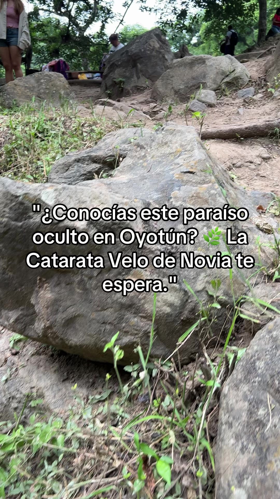 @Payasito Chili Oficial 🤡