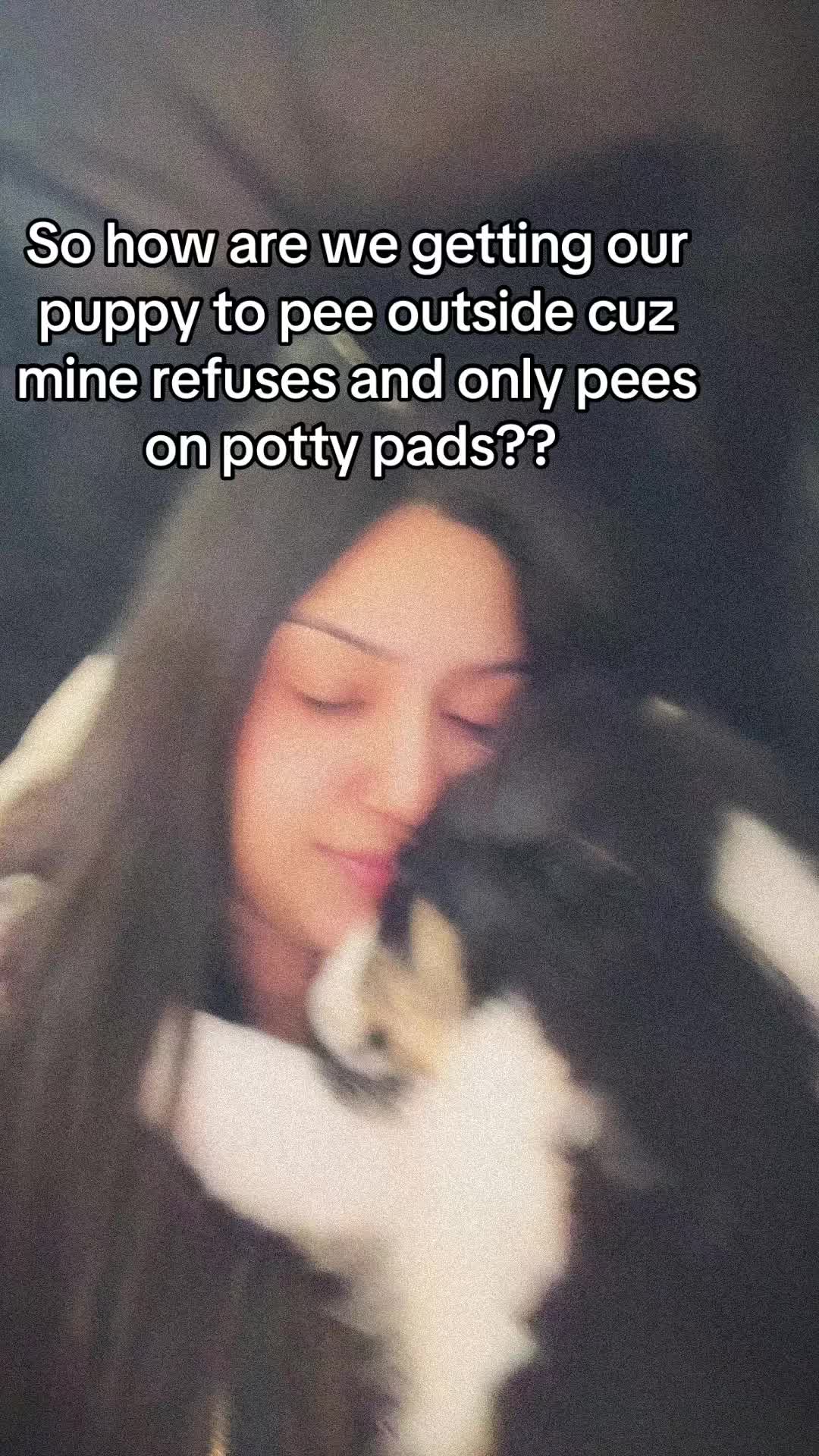 @Dezy
