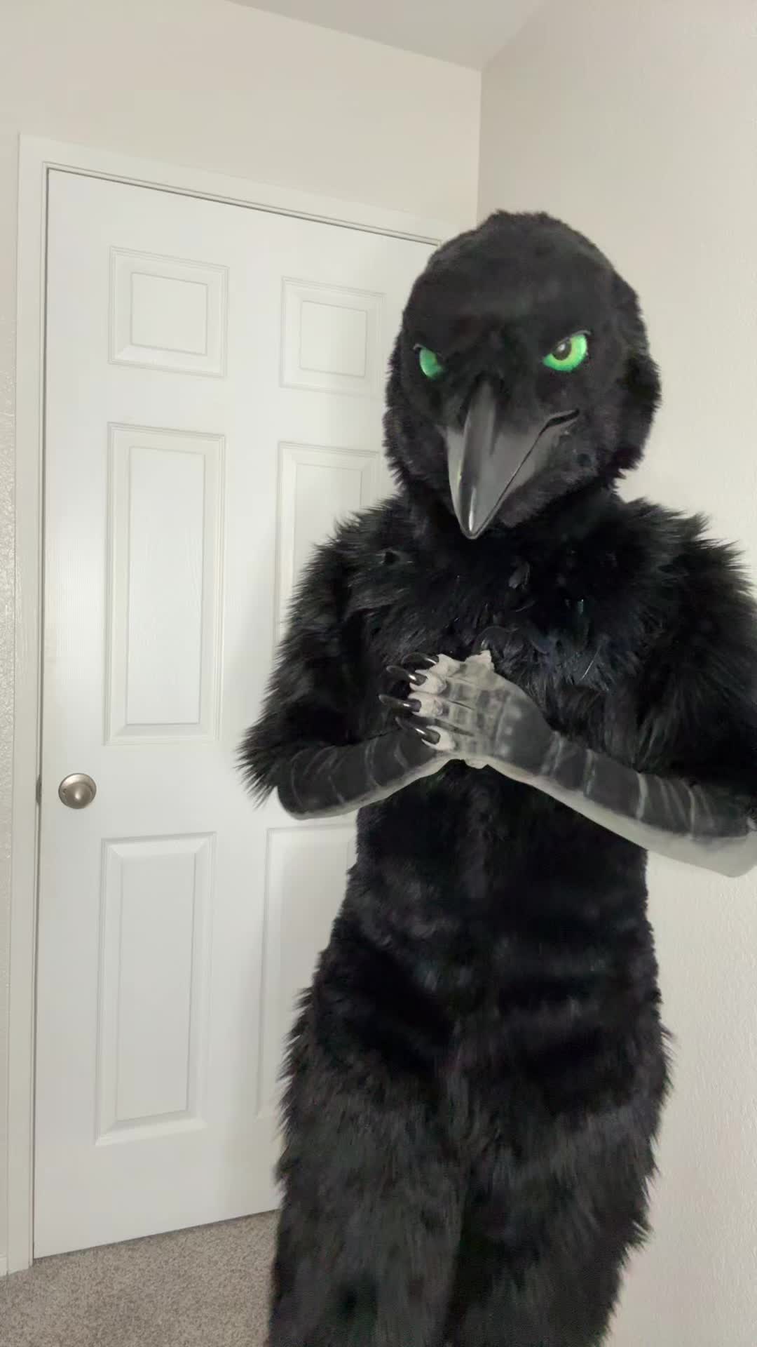 @Aeko🔜Furlandia 2026
