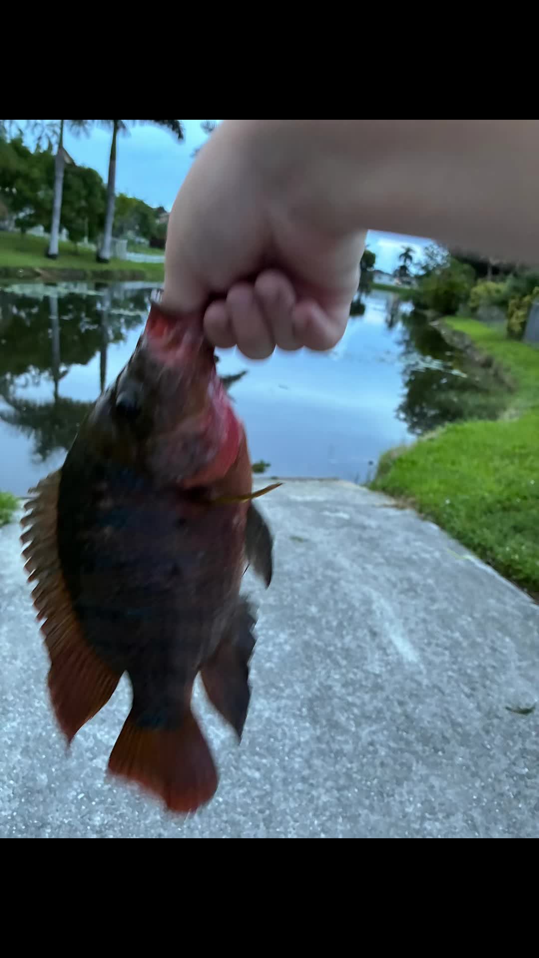 @Teamfishing