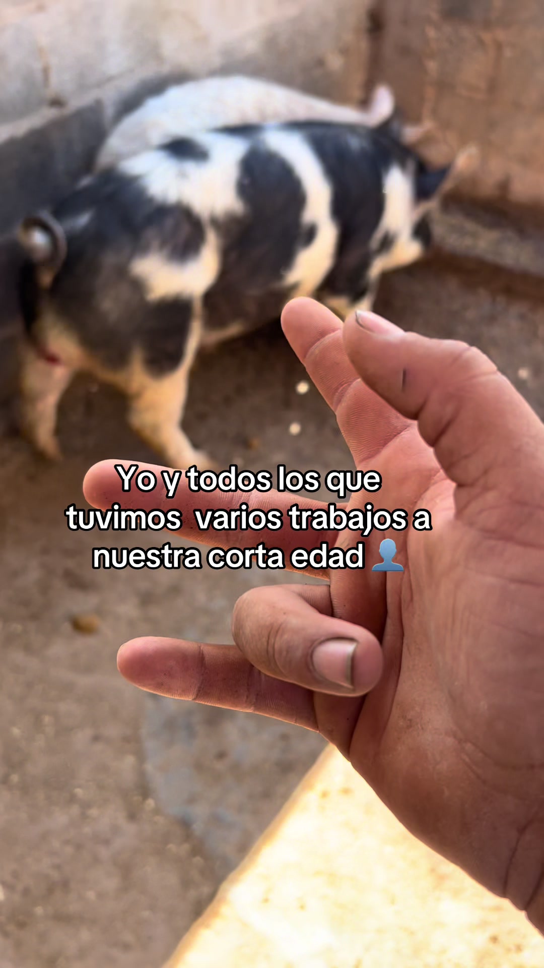 @arturo 🧔🏻♂️