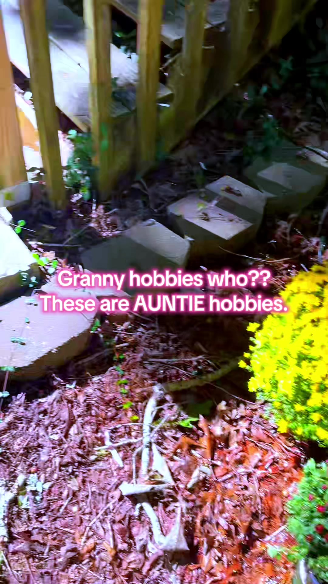 @Auntie๐๐๐๐๐๐๐๐๐๐๐ฟ