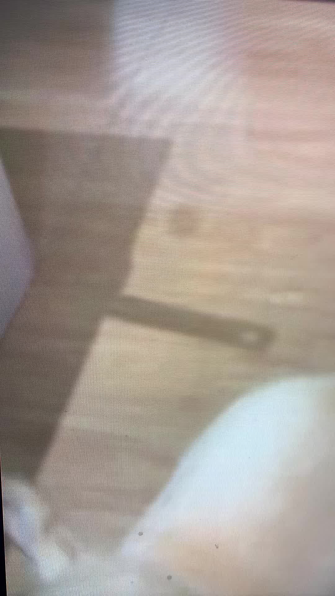 @ebjd09