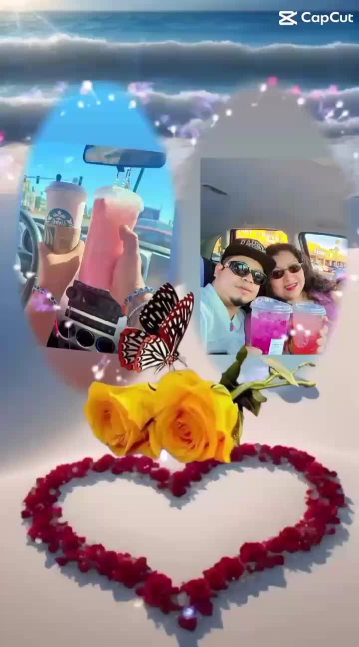 @francisca gallardo