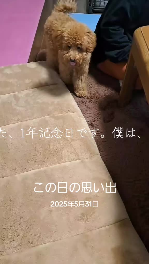 @ふじみ