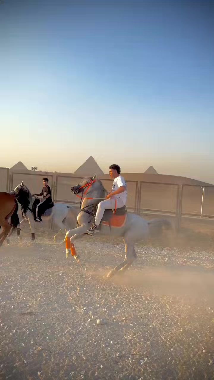 @ashoreldawly1๐