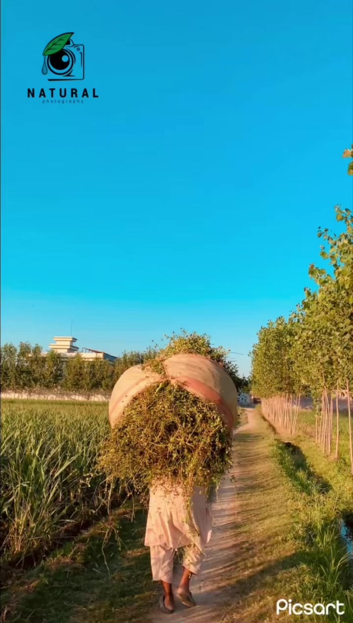 @N A T U R A L🍃