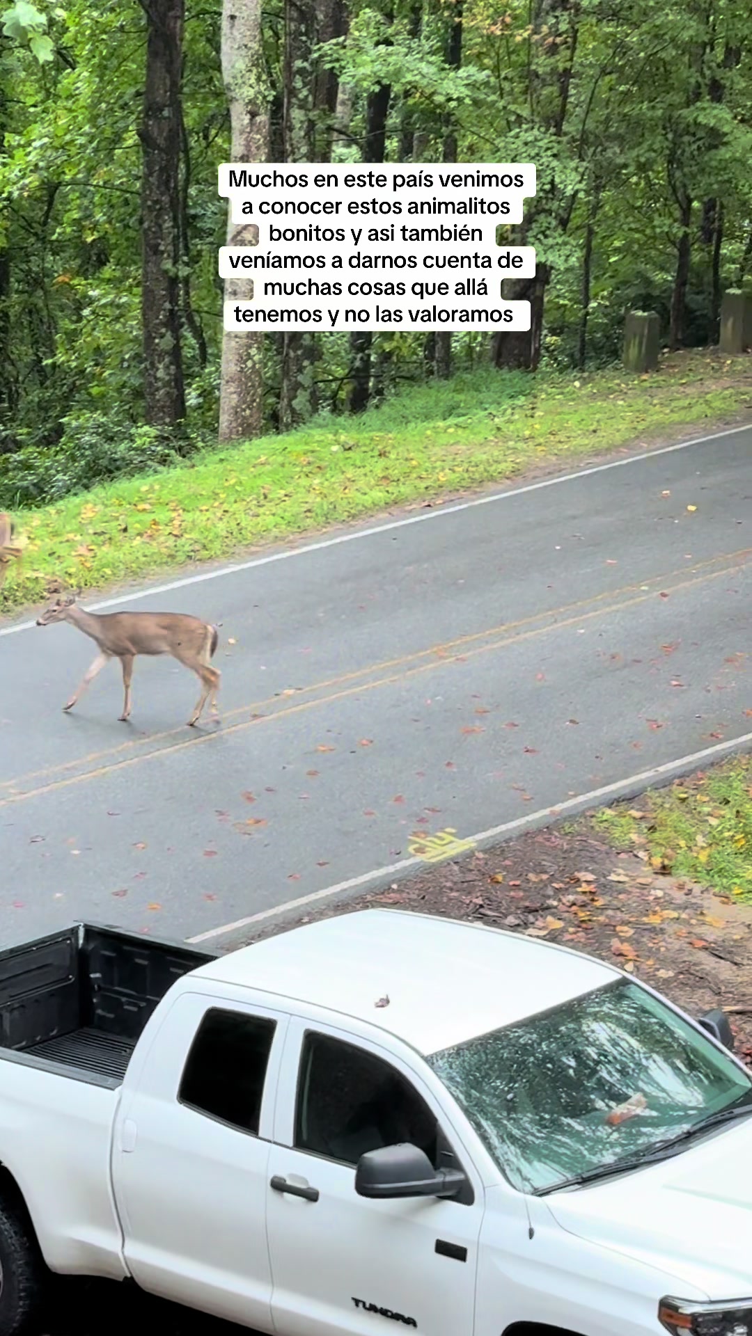 @el pay