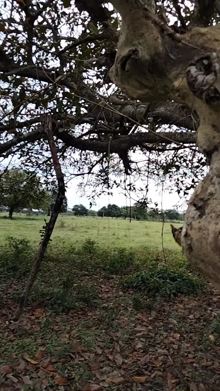 @Rub&eacute;n