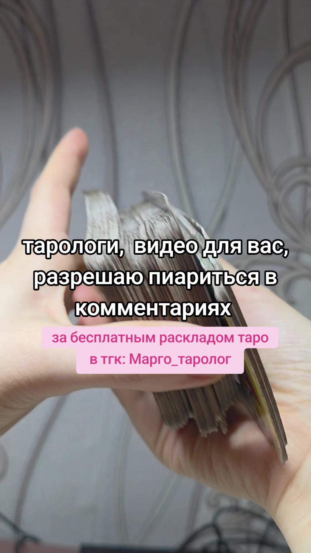 @Паша