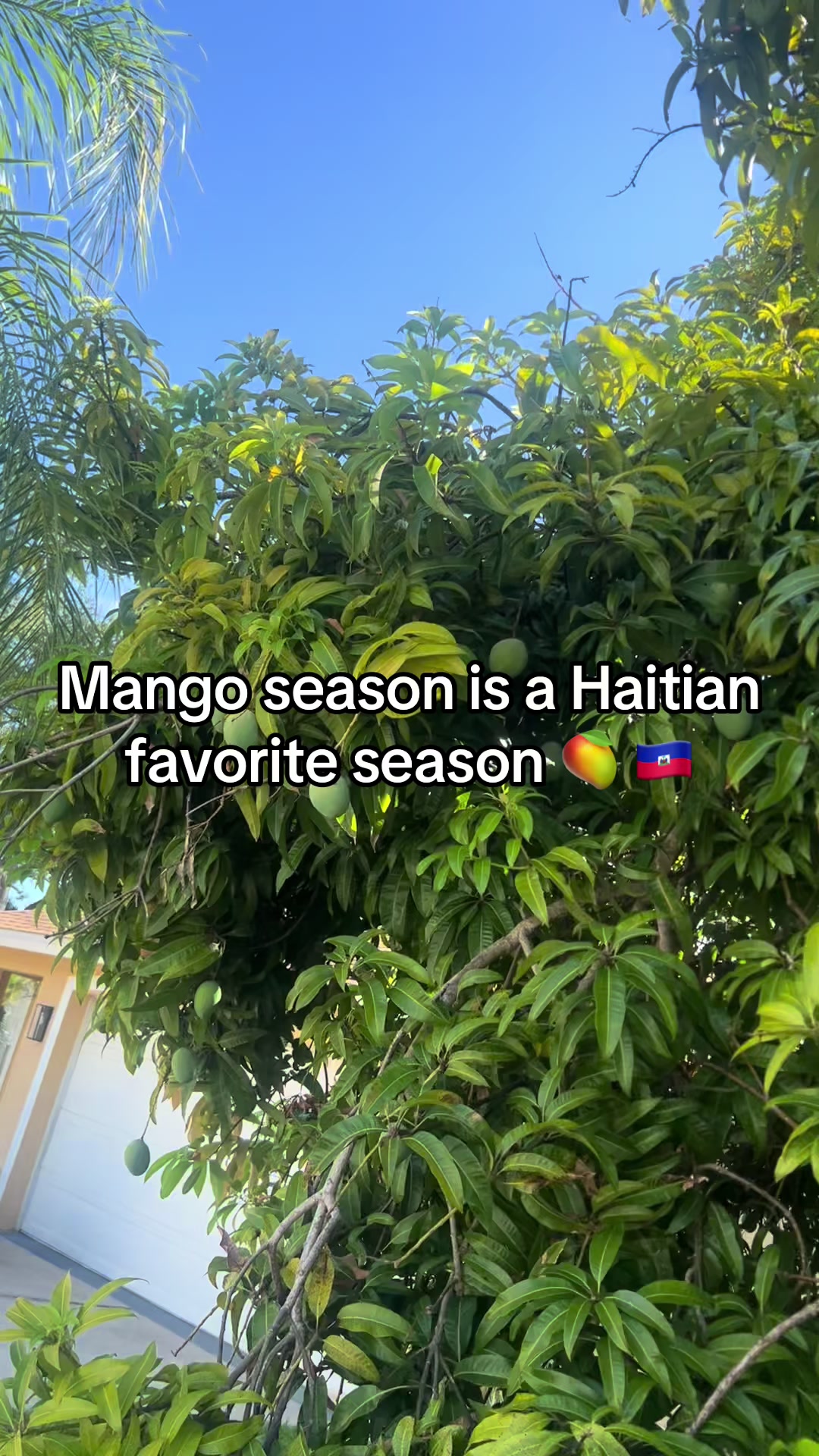 @Haitian Princess