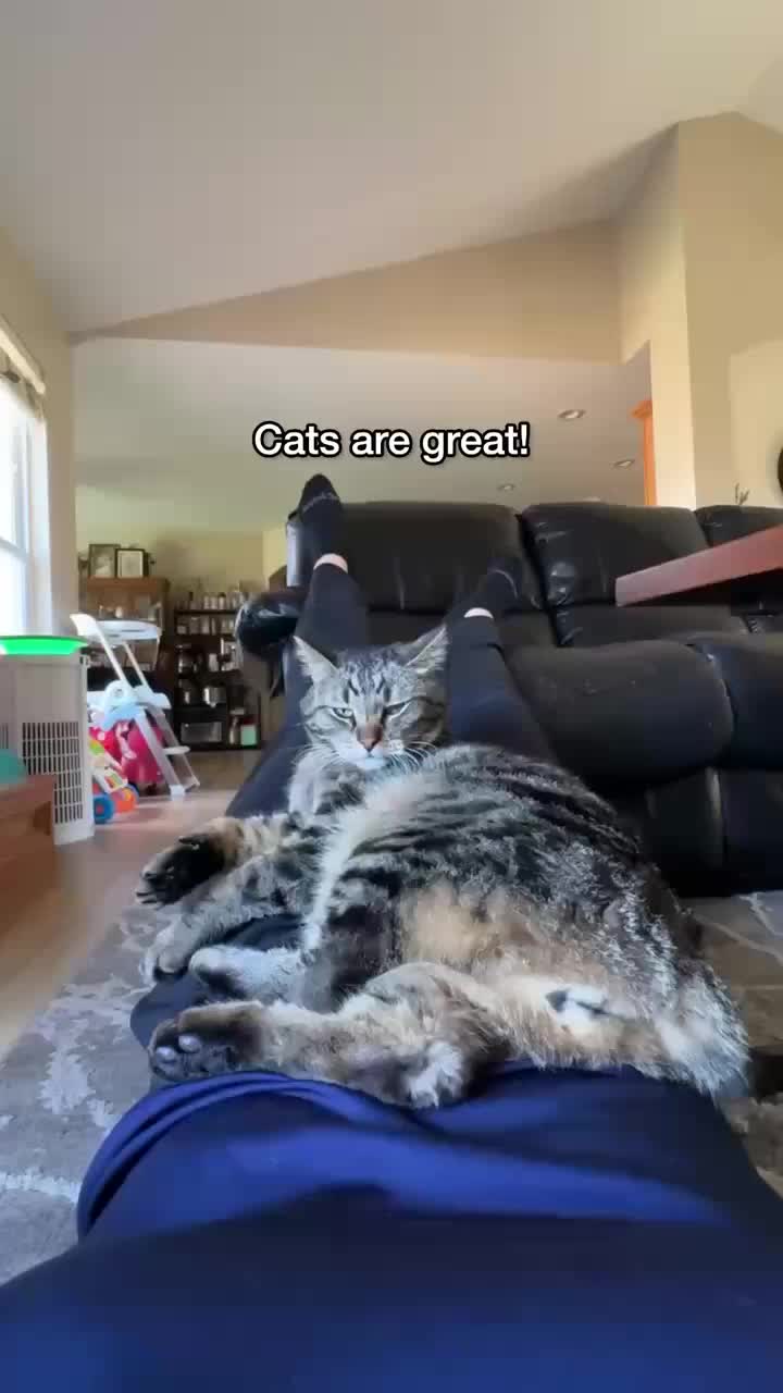 @Chip The Manx