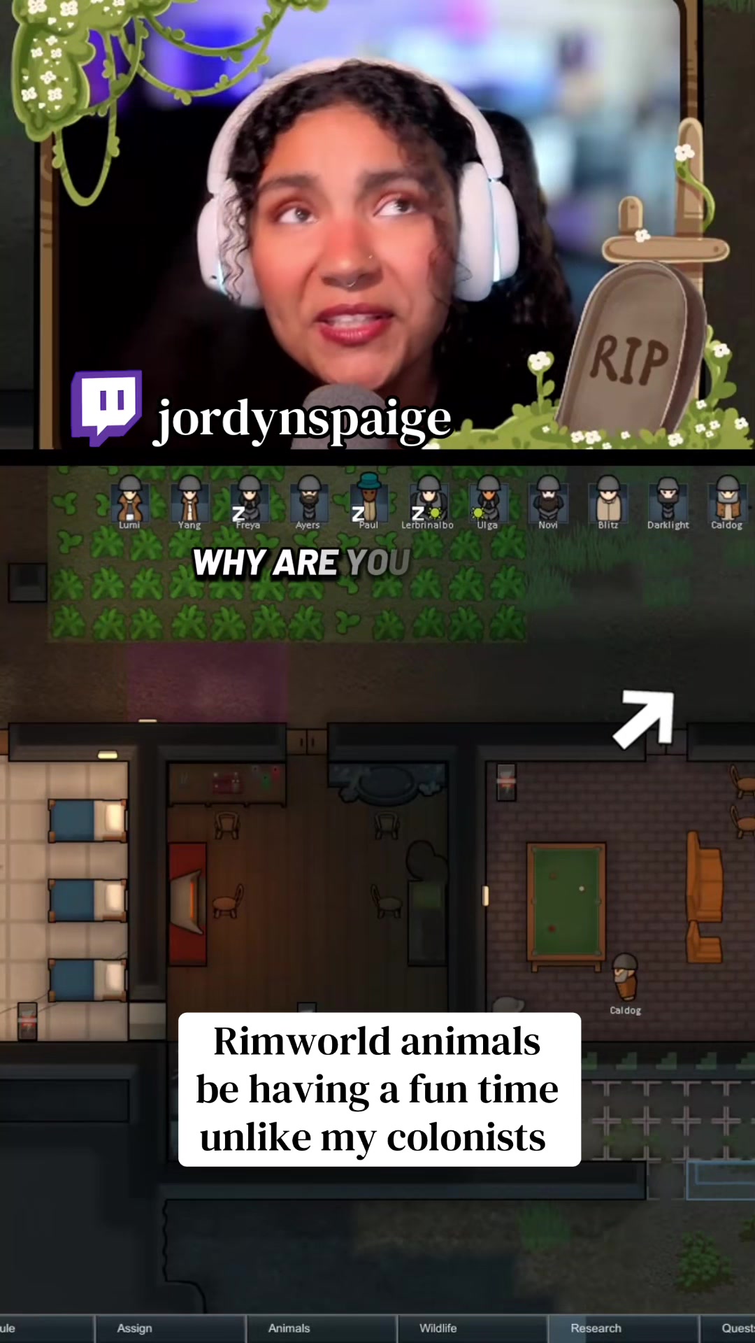 @J 🪄