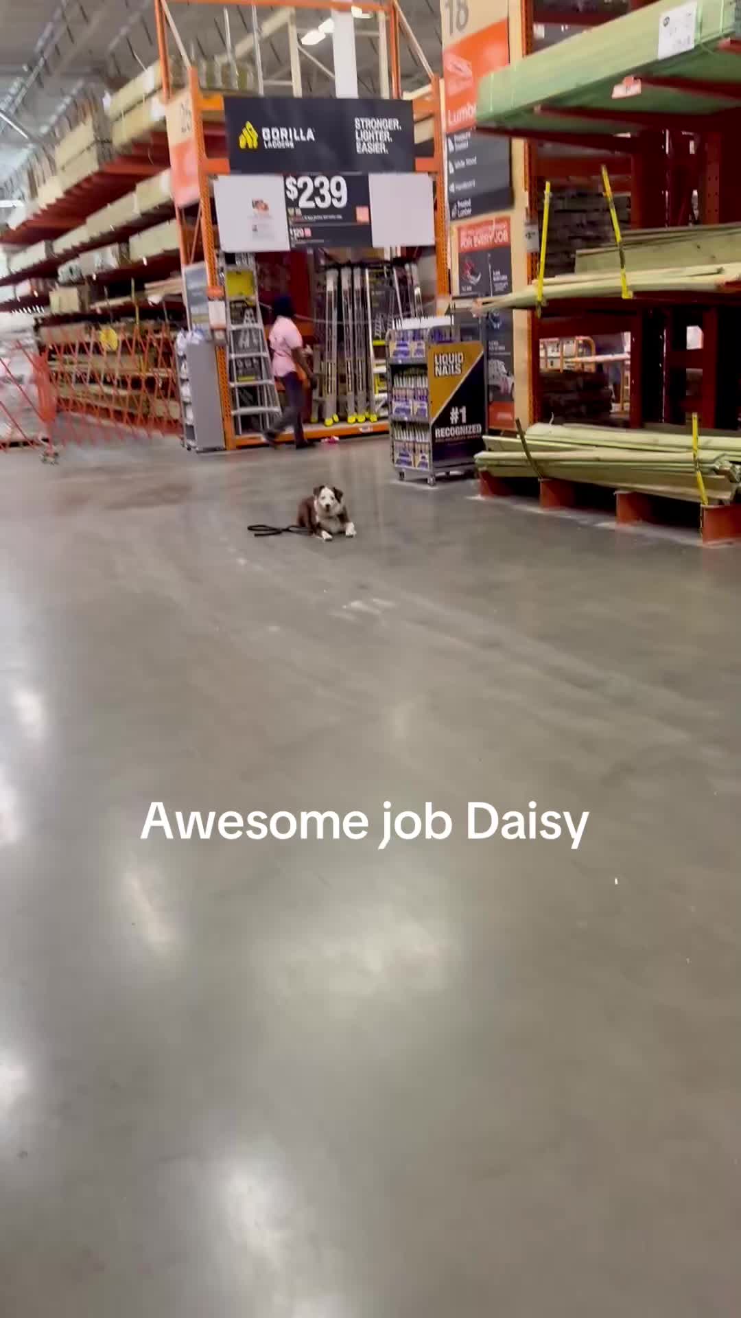 @RobertHouseDoglife