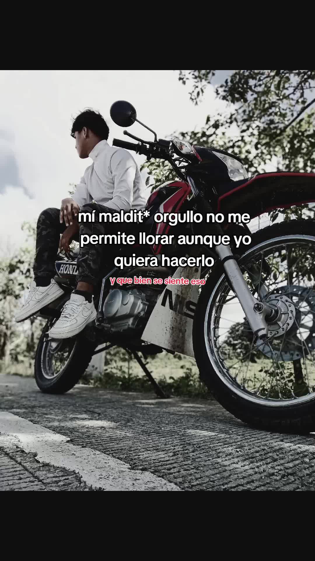 @Alex factos frases 🔥