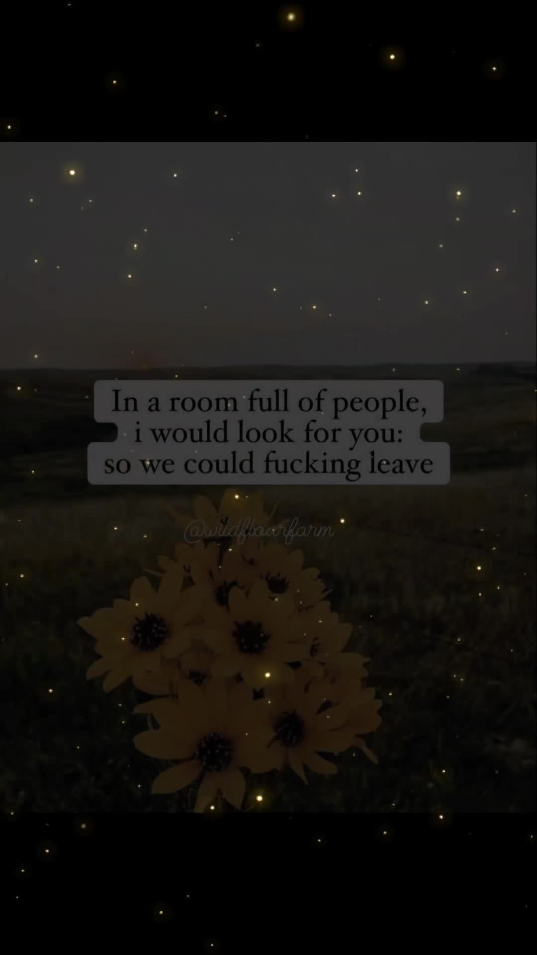 @Freya Moon 🌙