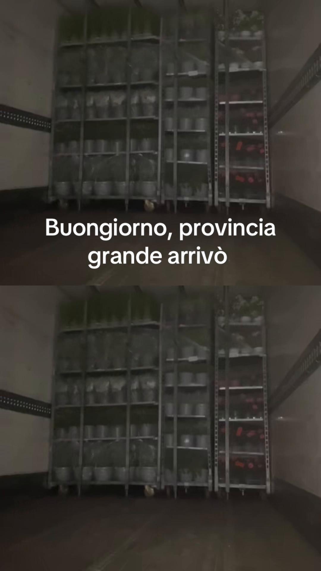 @rosariorizzolo578