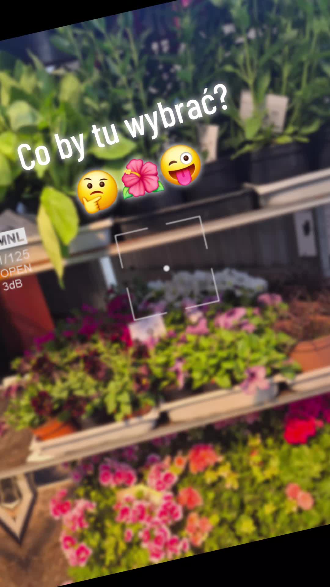 @🌺🪻aasia🌺🪻