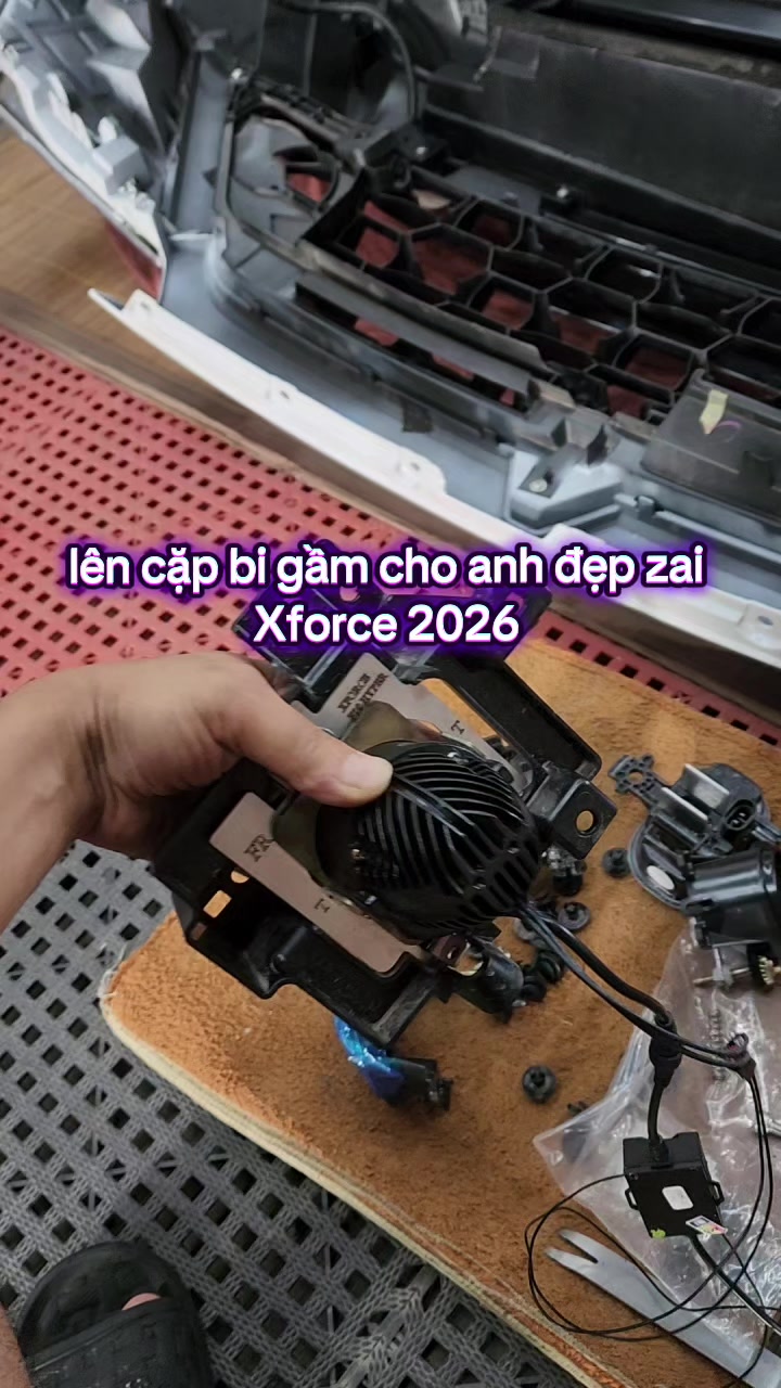 @P H Ư Ớ C _ H O À N G