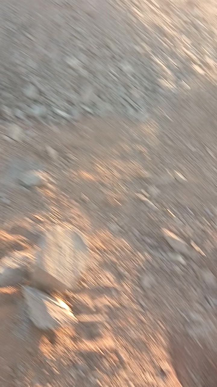 @💚💚$ البديري$💚💚