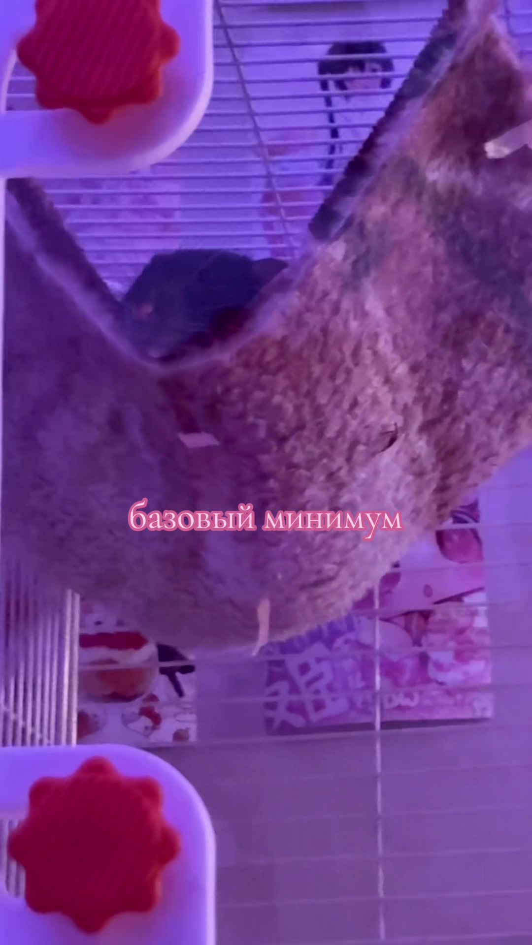 @блин шизоидная